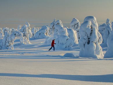Snowshoeing in the National Parks of Southern Lapland