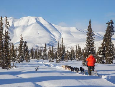 Husky Expedition to the King's Trail in Lapland