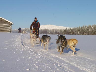 Aurora Winter Do-It-All Week