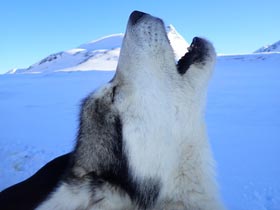 Winter Bucket List Adventures