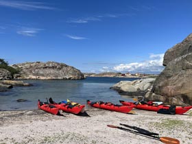 Learn New Skills in Summer