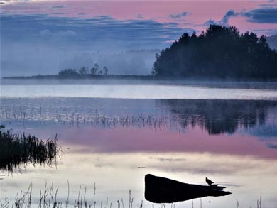 Explore the National Parks of Eastern Finland | Photo: AKA