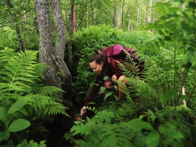 Explore the National Parks of Eastern Finland | Photo: AKA