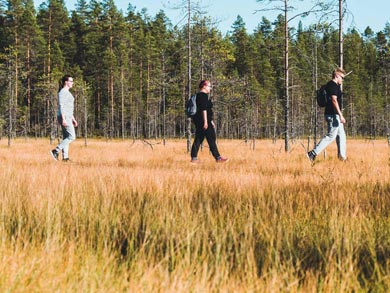 Explore the National Parks of Eastern Finland | Photo: AKA