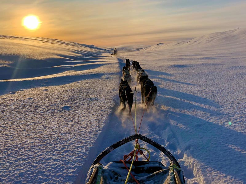 Sledding on Finnmarksvidda