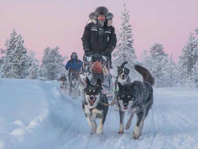 Hut to Hut Aurora Husky Safari in Lapland | Photo: HHS