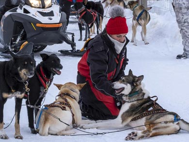 Husky, Ski and Snowshoe Week in Southern Lapland | Photo: HT