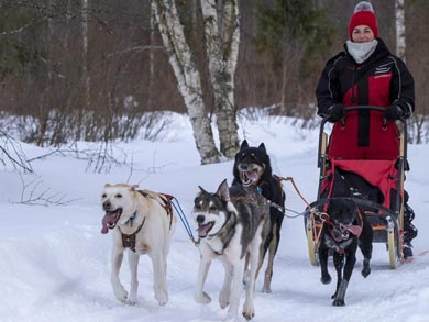 Husky, Ski and Snowshoe Week in Southern Lapland | Photo: HT