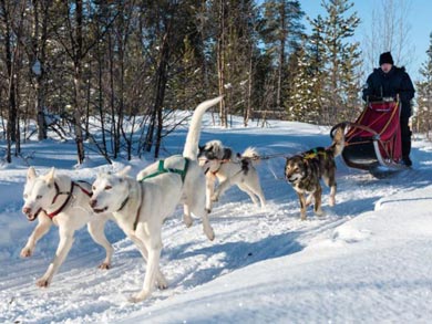 Wilderness Lodge and Husky Sledding in Swedish Lapland | Photo: KST