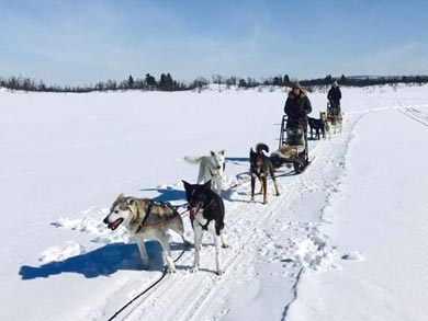 Wilderness Lodge and Husky Sledding in Swedish Lapland | Photo: KST