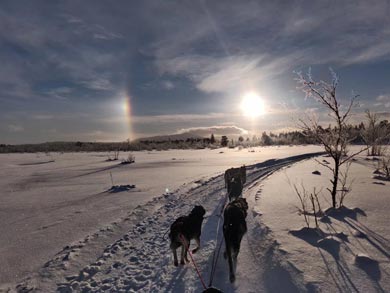 Wilderness Lodge and Husky Sledding in Swedish Lapland | Photo: KST