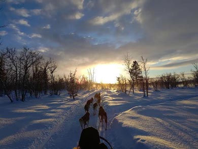 Wilderness Lodge and Husky Sledding in Swedish Lapland | Photo: KST