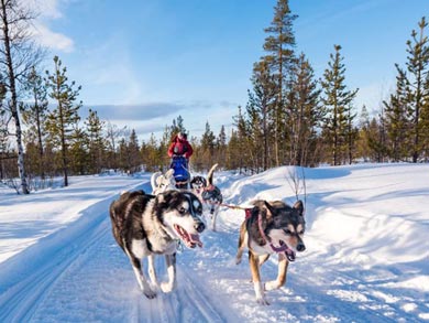 Wilderness Lodge and Husky Sledding in Swedish Lapland | Photo: KST