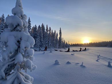 Wilderness Lodge and Husky Sledding in Swedish Lapland | Photo: KST