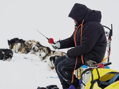 Wilderness Lodge and Husky Sledding in Swedish Lapland | Photo: KST