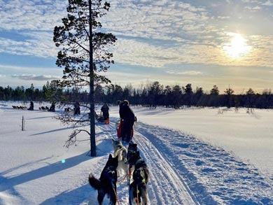 Northern Dogsled Adventure in Lapland | Photo: KST