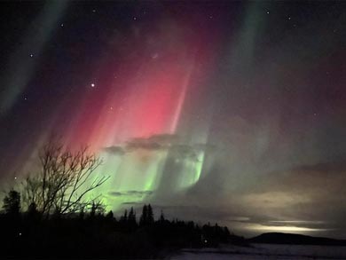 Northern Dogsled Adventure in Lapland | Photo: Sarah Shamel