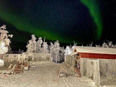 Northern Lights over the kennels | Photo: KST