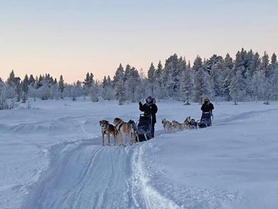 Northern Dogsled Adventure in Lapland | Photo: KST
