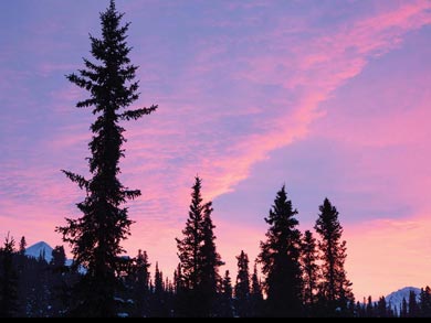 The beautiful colours of Midwinter | Photo: KST