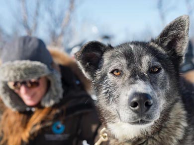 Northern Lights Dogsled Adventure in Lapland | Photo: KST
