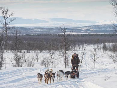 Northern Dogsled Adventure in Lapland | Photo: KST