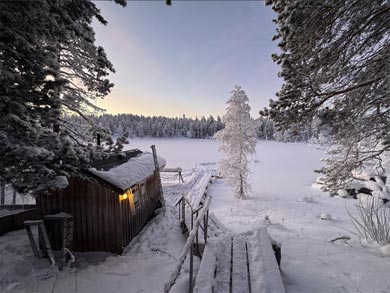 Northern Lights Dogsled Adventure in Lapland | Photo: Paddy Carney