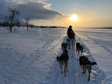 Northern Lights Dogsled Adventure in Lapland | Photo: KST