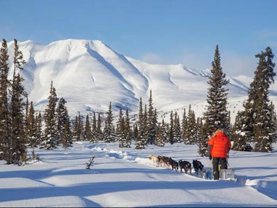 Husky Expedition to the King's Trail in Lapland | Photo: KST