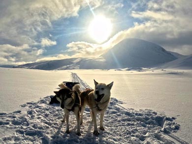 Husky Expedition to the King's Trail in Lapland | Photo: Mark Friedman