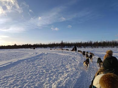 Husky Expedition to the King's Trail in Lapland | Photo: KST