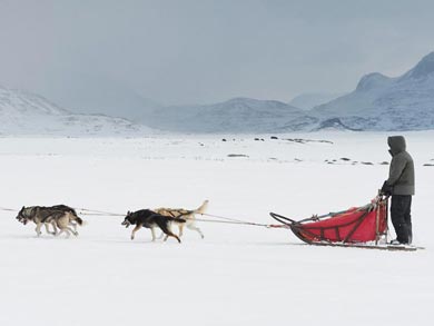 Husky Expedition to the King's Trail in Lapland | Photo: KST