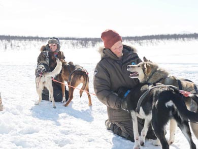 Husky Expedition to the King's Trail in Lapland | Photo: KST