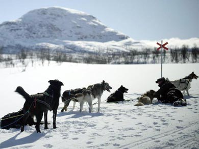 Husky Expedition to the King's Trail in Lapland | Photo: KST