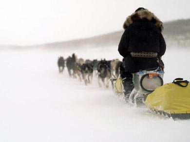 The tour is a challenging adventure | Photo: KST