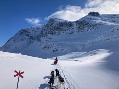 Husky Expedition to the King's Trail in Lapland | Photo: KST