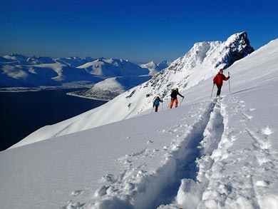 Alpine Ski Touring in Lyngen | Photo: LOC