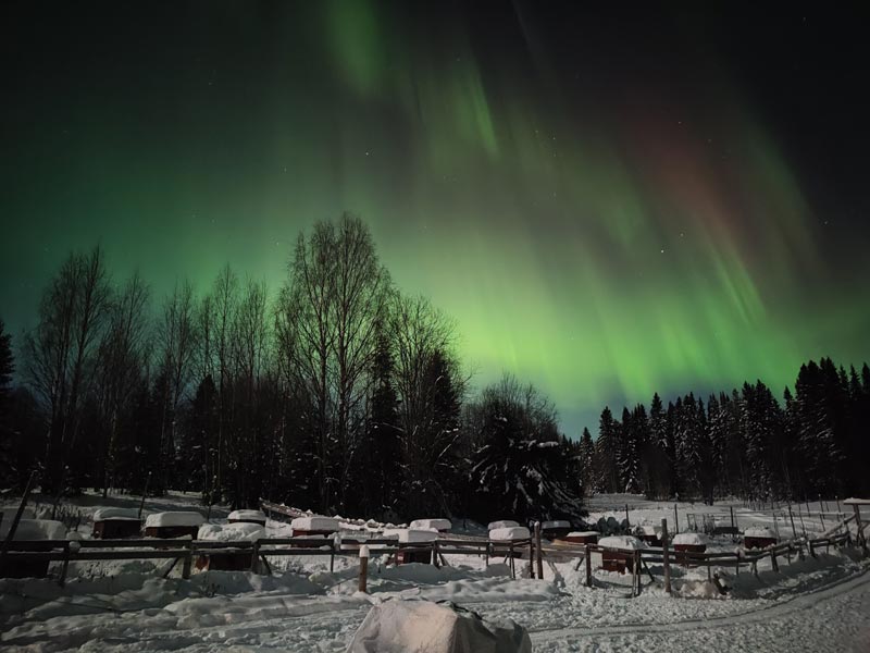 Northern Lights in Jämtland