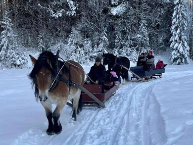 A magical ride with the horses | Photo: NOH