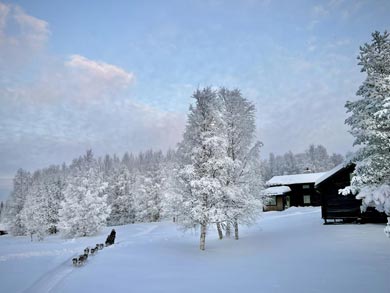 Dog sledding past the cabin | Photo: NOH