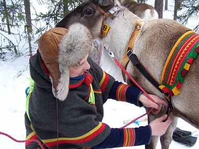 Reindeer Encounter and S&aacute;mi Experience in Lapland | Photo: Nature Travels
