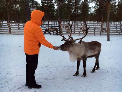 Reindeer Encounter and S&aacute;mi Experience in Lapland | Photo: Catherine Emmerson