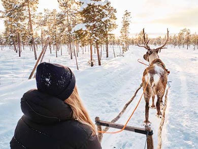 Reindeer Encounter and S&aacute;mi Experience in Lapland | Photo: Johan Adermalm