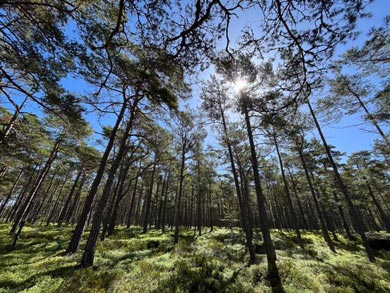 Discover the Islands of the Stockholm Archipelago | Photo: Annette Hall