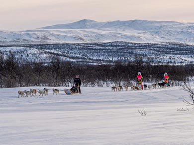 Experience Dog Sledding and Winter Camping in Finnmark | Photo: PIR