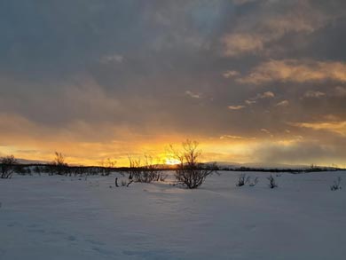 Ski Touring and Winter Camping on the Finnmark Plateau | Photo: Nature Travels