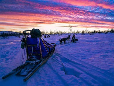 Dog Sledding & Northern Lights in Vindelfj&auml;llen | Photo: PK