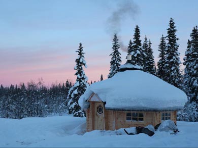 Dog Sledding & Northern Lights in Vindelfj&auml;llen | Photo: Kayleigh MacMillan