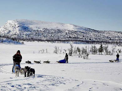 Dog Sledding & Northern Lights in Vindelfj&auml;llen | Photo: PK