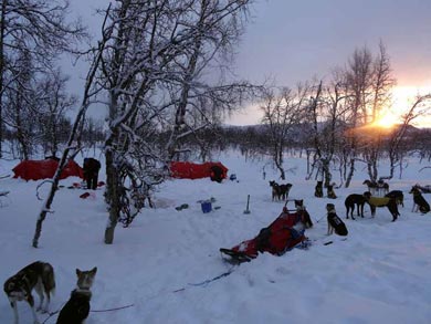 Wilderness Dogsled Adventure in Vindelfj&auml;llen | Photo: PK